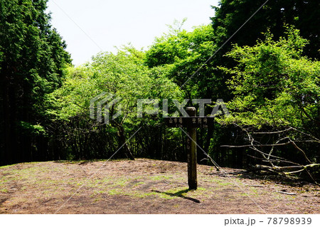 神奈川　不老山　北峰山頂 78798939
