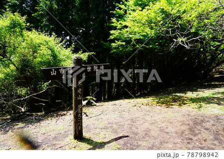 神奈川　不老山　北峰山頂 78798942
