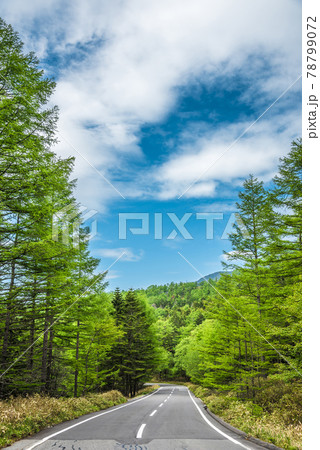 《長野県》茅野市風景 メルヘン街道 《長野県》茅野市風景 メルヘン街道 78799072