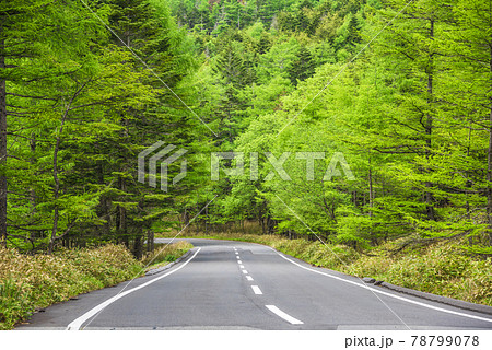 《長野県》茅野市風景 メルヘン街道 《長野県》茅野市風景 メルヘン街道 78799078