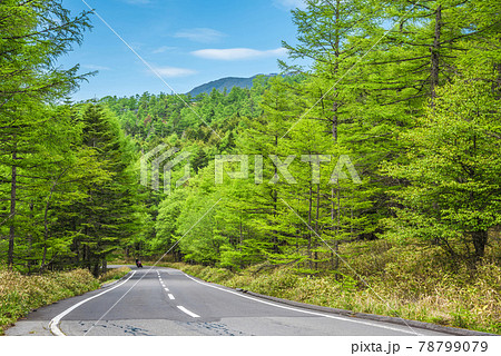 《長野県》茅野市風景 メルヘン街道 《長野県》茅野市風景 メルヘン街道 78799079