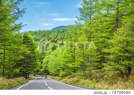 《長野県》茅野市風景　メルヘン街道 78799080