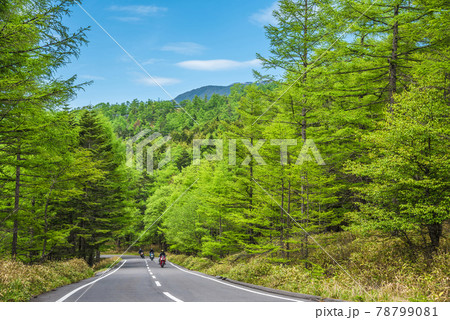 《長野県》茅野市風景　メルヘン街道 78799081