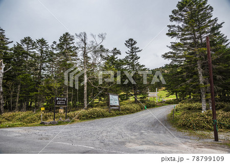 《長野県》佐久穂町風景 北八ヶ岳自然休養林 《長野県》佐久穂町風景 北八ヶ岳自然休養林 78799109