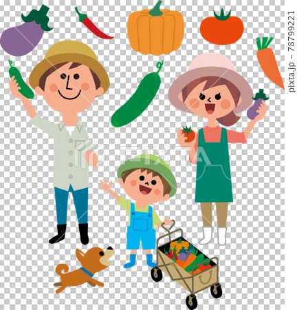 家庭菜園 家庭菜園 78799221