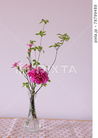 カーネーションのアレンジ カーネーションのアレンジ 78799489