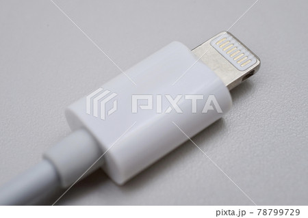 ライトニング端子 ライトニング端子 78799729