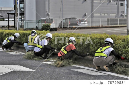 道路植栽作業 道路植栽作業 78799884