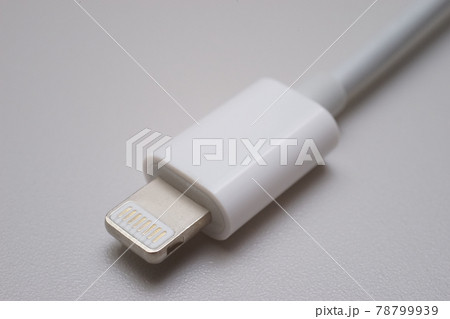 ライトニング端子 78799939