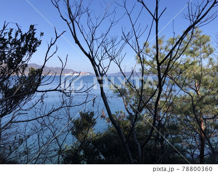 《うさぎの島（大久野島）の木々の間から見る海と青空と山の風景》（広島県　竹原市） 78800360