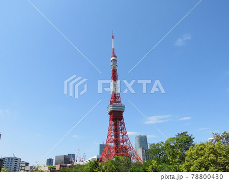 芝公園から見える東京タワー 78800430