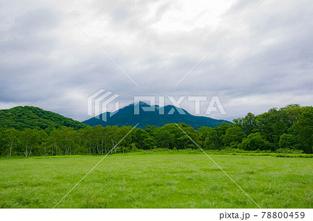 尾瀬ヶ原からの燧ケ岳の景色 尾瀬ヶ原からの燧ケ岳の景色 78800459