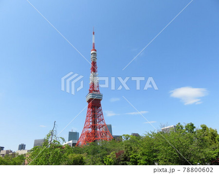 芝公園から見える東京タワー 芝公園から見える東京タワー 78800602