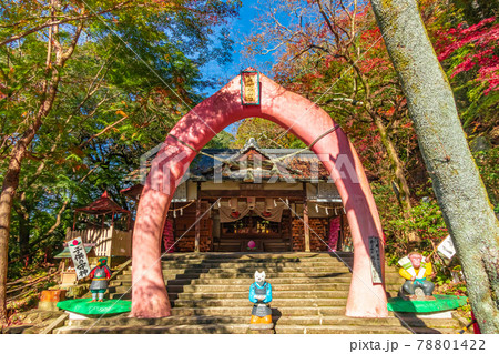 子供の守神、秋の桃太郎神社〈愛知県犬山市〉 子供の守神、秋の桃太郎神社〈愛知県犬山市〉 78801422