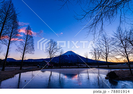 (静岡県)富士宮市ふもとっぱら 厳冬期の富士山 (静岡県)富士宮市ふもとっぱら 厳冬期の富士山 78801914