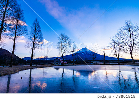 （静岡県）富士宮市ふもとっぱら　厳冬期の富士山 78801919