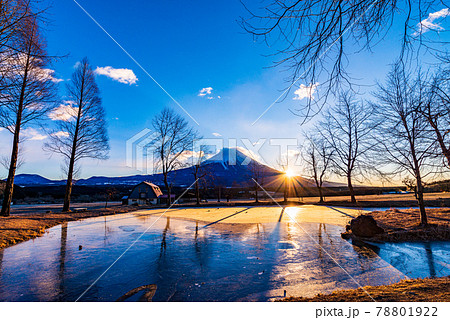 （静岡県）富士宮市ふもとっぱら　厳冬期の富士山 78801922