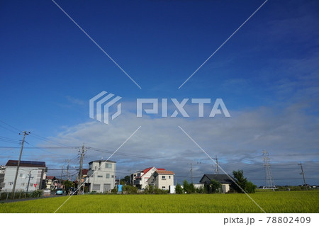 埼玉県杉戸町の風景 78802409