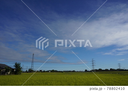 埼玉県杉戸町の風景 78802410