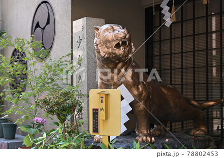 小彦名神社の虎 78802453