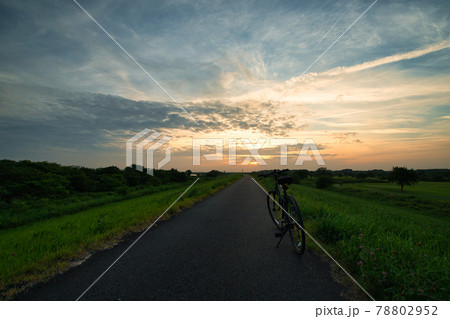 静寂なサイクリングロード 78802952