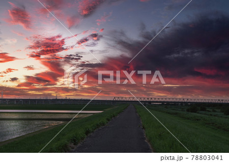 紫色の夕焼け 78803041