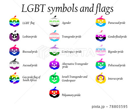 LGBT Official Pride Flag Collection, Lesbian, Gay, Bisexual and Transgender . Collection of Signs for People of Different Sexual Orientations. 78803595