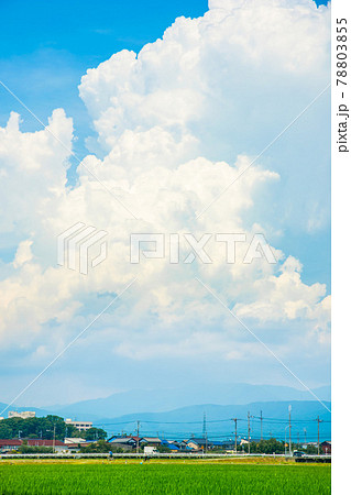 田舎 夏雲 田舎 夏雲 78803855