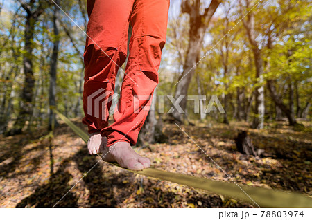 Close-up below the waist of a sporty man practicing slackline balance in autumn forest Close-up below the waist of a sporty man practicing slackline balance in autumn forest 78803974