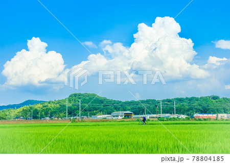 田舎 風景 78804185