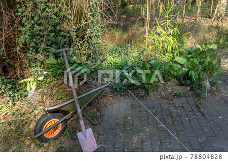 Wheelbarrow filled with leaves and branches with a fanned spade after gardening in spring Wheelbarrow filled with leaves and branches with a fanned spade after gardening in spring 78804828