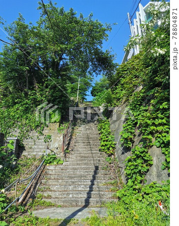 外人坂（北海道小樽市） 78804871