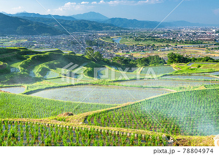 《長野県》姨捨の棚田・田植えシーズン 78804974