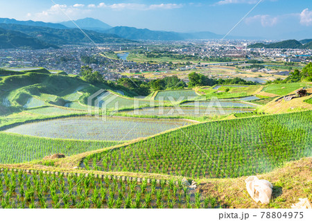 《長野県》姨捨の棚田・田植えシーズン 78804975