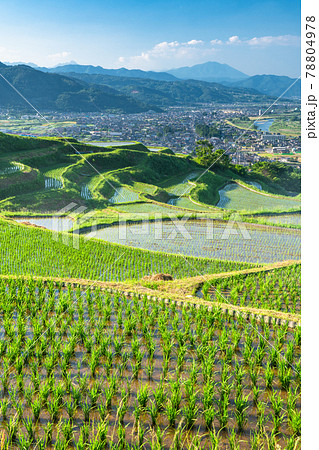 《長野県》姨捨の棚田・田植えシーズン 78804978