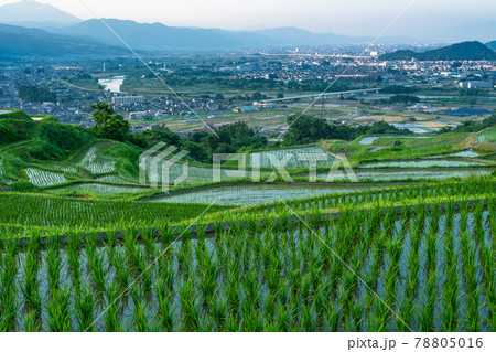 《長野県》姨捨の棚田・田植えシーズン 《長野県》姨捨の棚田・田植えシーズン 78805016