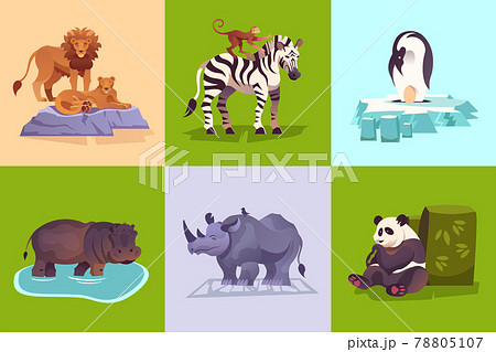 Zoo Animals Concept Set 78805107