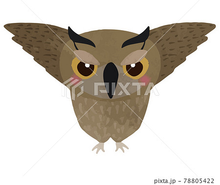 An Owl Illustration That Spreads Its Wings And Stock Illustration