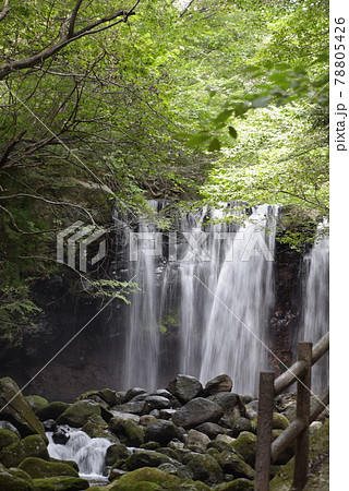 栃木県那須塩原市にある乙女の滝 栃木県那須塩原市にある乙女の滝 78805426