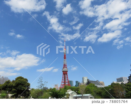 芝公園から見える東京タワー 78805764