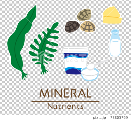 富含礦物質的食物的插圖 78805769