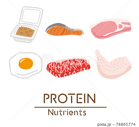 タンパク質を多く含む食品のイラストのイラスト素材