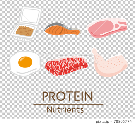 高蛋白質食物的插圖 78805774