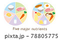 シンプルな五大栄養素表のイラスト 78805775