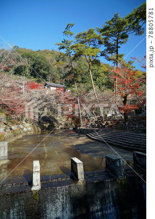 碧い空と紅葉の岩屋堂 78805781