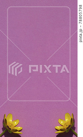 A floral arrangement of two yellow flowers on a pink background and a glass text frame. Flat layout top view. Ready-made template. 78805798