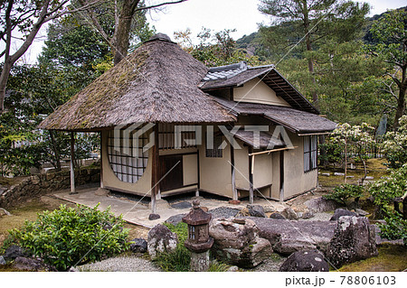 高台寺の春 2021年春 高台寺の春 2021年春 78806103