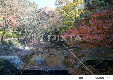 碧い空と紅葉の岩屋堂 碧い空と紅葉の岩屋堂 78806177