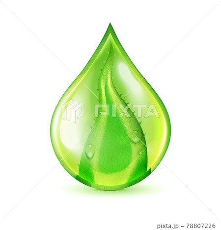 Aloe Leaf Waterdrop Illustrationのイラスト素材