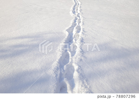 footprints in the snow. dearly through a winter field 78807296